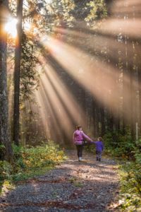 A woman and child walking on a rocky path into the woods with the sun shining through the trees.